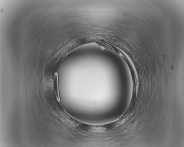 X0000059830617200510241423