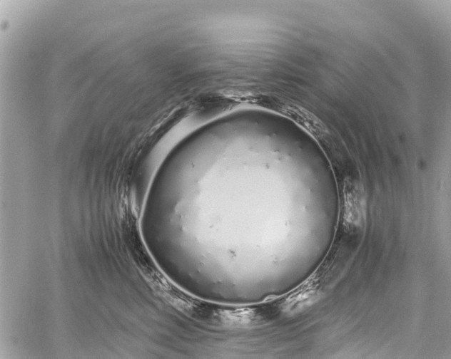 X0000059830618200510241423