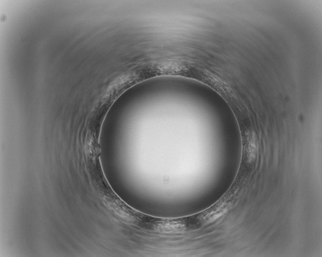 X0000059830619200510241422