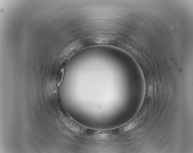 X0000059830620200510241422