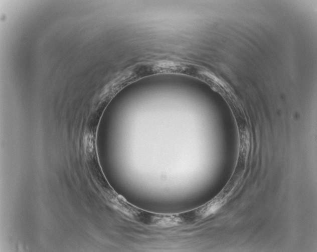 X0000059830621200510241422