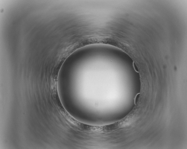 X0000059830624200510241422