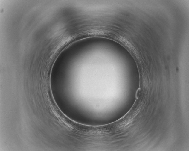 X0000059830625200510241422