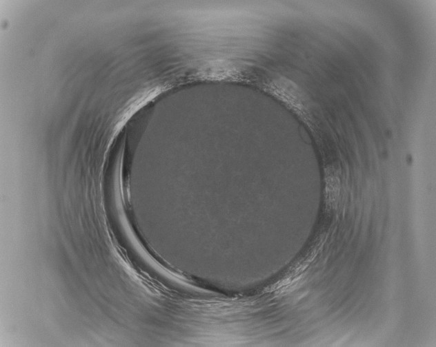 X0000059830626200510241422