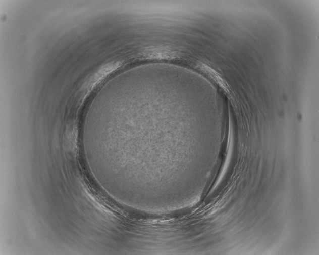 X0000059830627200510241422