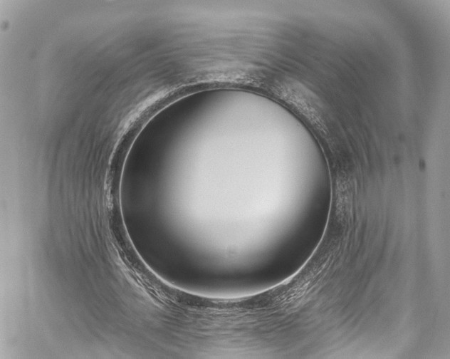 X0000059830628200510241422