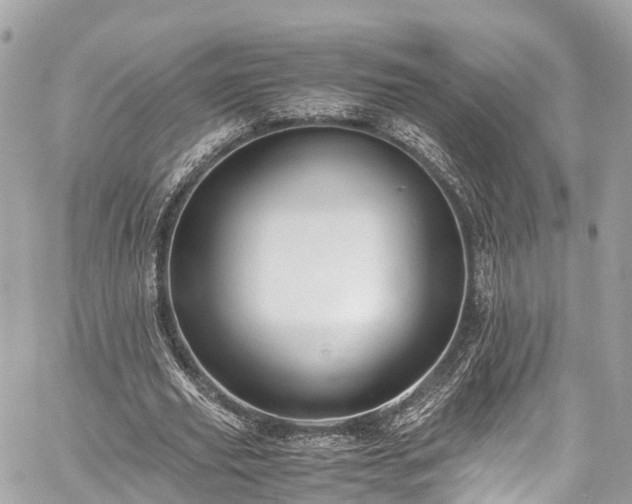 X0000059830629200510241422