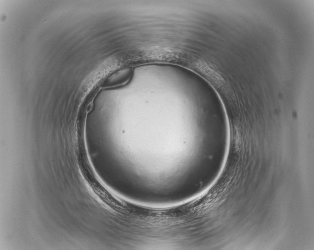 X0000059830630200510241422