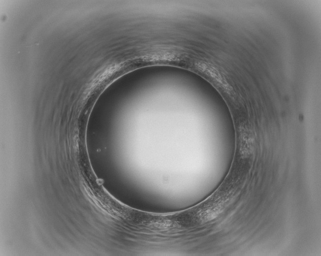 X0000059830631200510241422