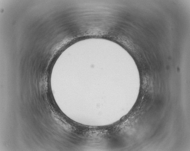 X0000059830632200510241422