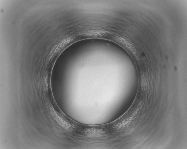 X0000059830633200510241422