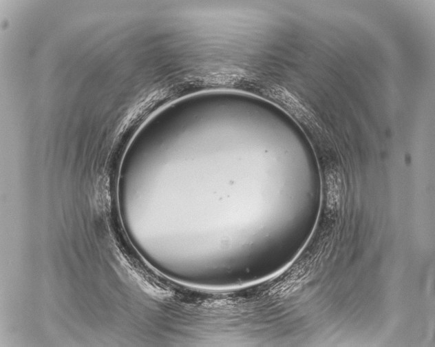 X0000059830634200510241422