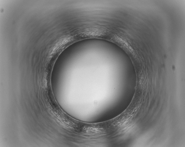 X0000059830635200510241422