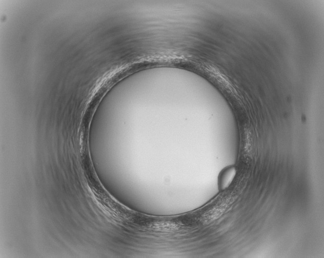 X0000059830636200510241422