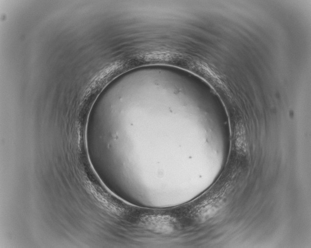 X0000059830637200510241422