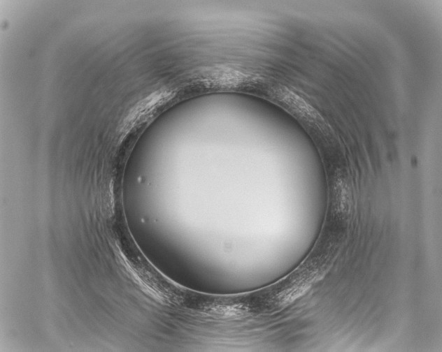 X0000059830638200510241422