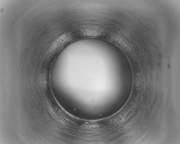 X0000059830639200510241422