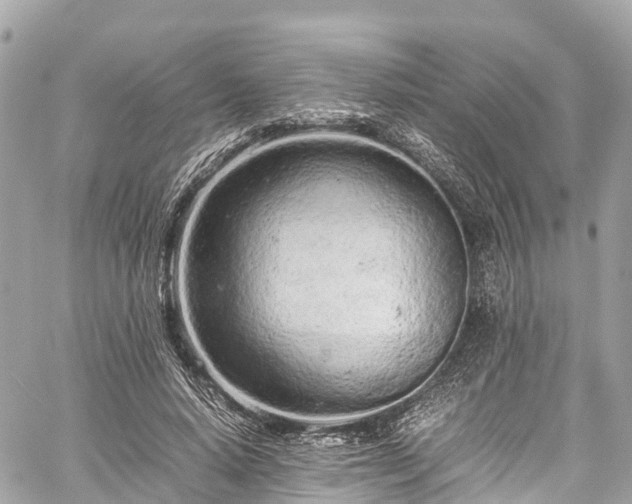 X0000059830640200510241422