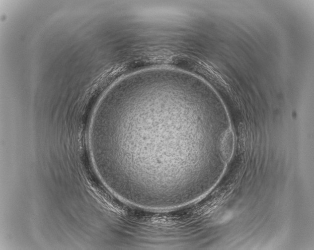 X0000059830641200510241422