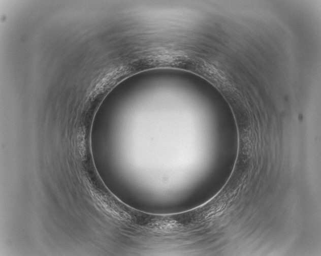 X0000059830642200510241422