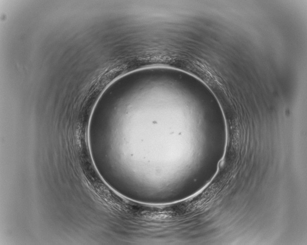 X0000059830643200510241422