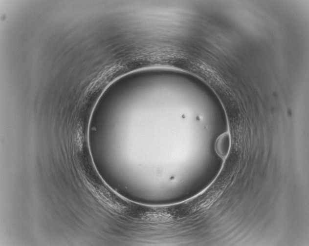 X0000059830644200510241422