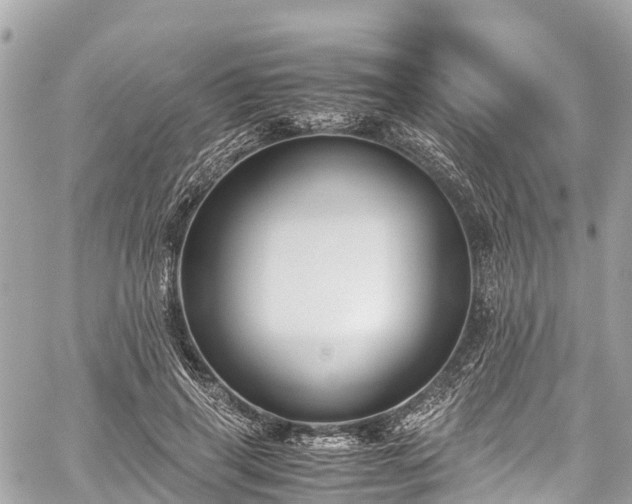 X0000059830645200510241422