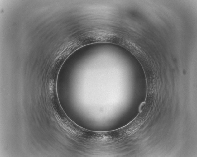 X0000059830646200510241422