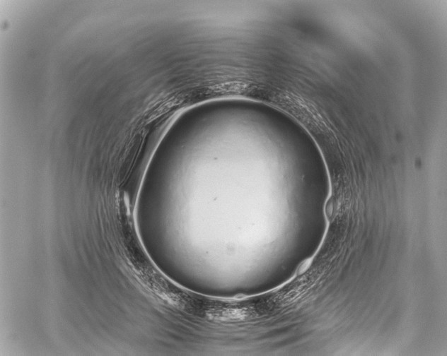 X0000059830647200510241422