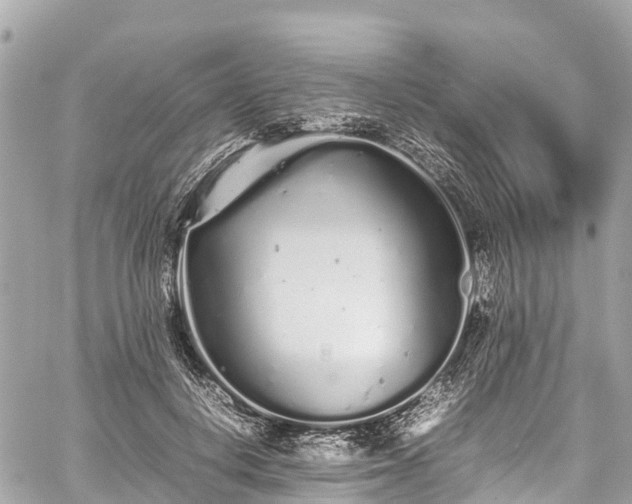 X0000059830648200510241422