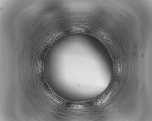 X0000059830649200510241422