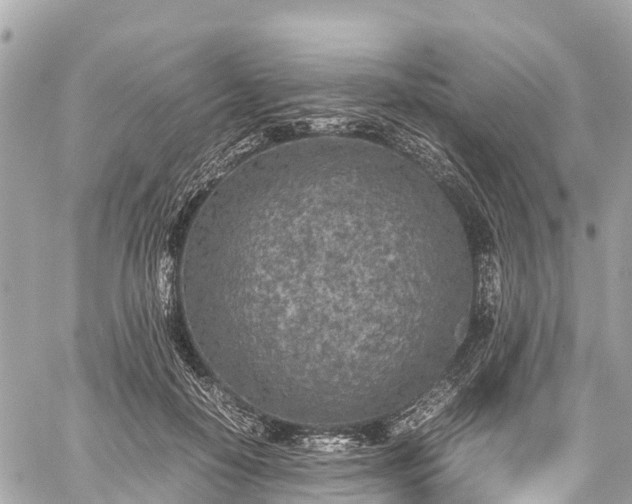 X0000059830650200510241422