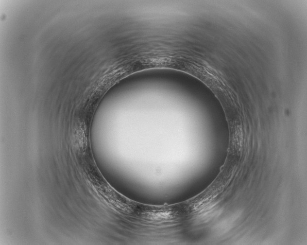 X0000059830651200510241422