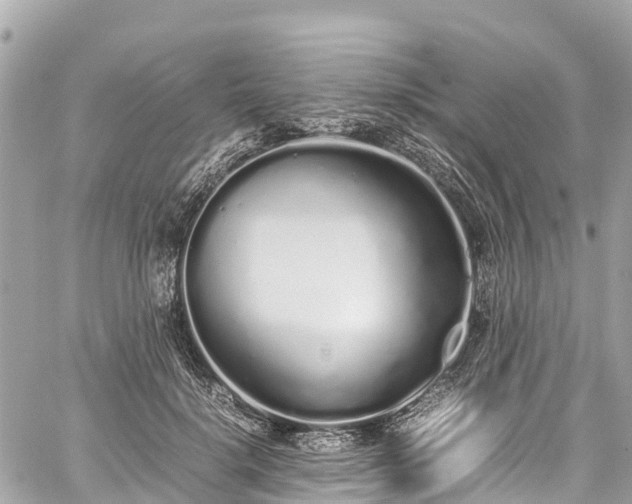 X0000059830652200510241422