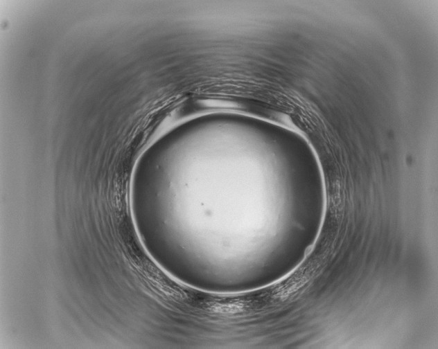 X0000059830653200510241422