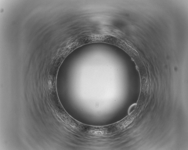 X0000059830655200510241422