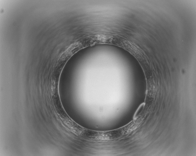 X0000059830656200510241422