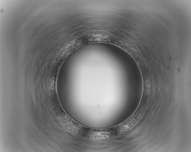 X0000059830657200510241422