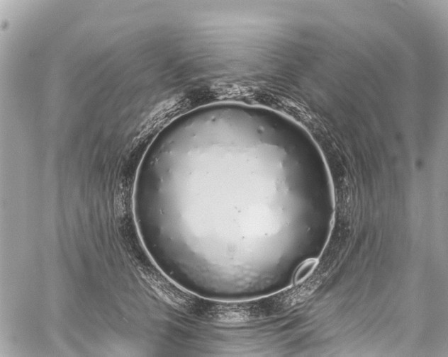 X0000059830658200510241422