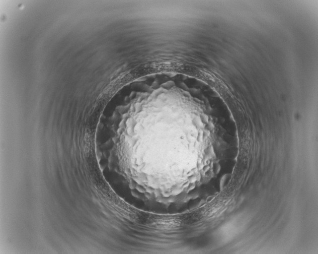 X0000059830659200510241422