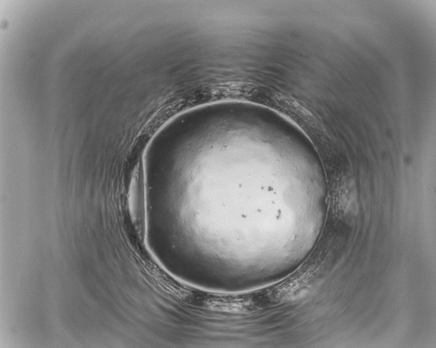 X0000059830661200510241422