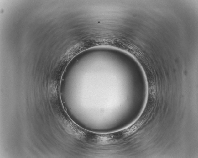 X0000059830662200510241422