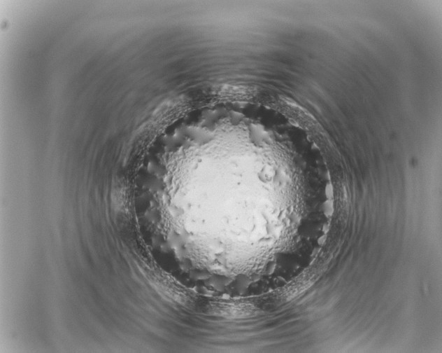 X0000059830663200510241422