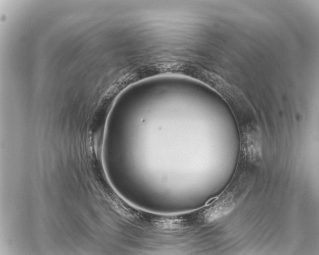 X0000059830664200510241422