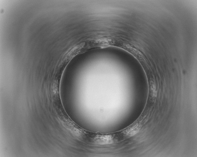 X0000059830665200510241422