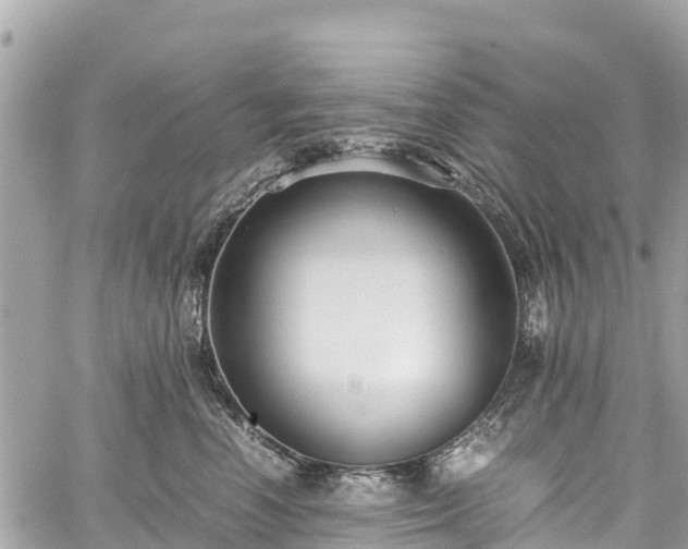 X0000059830666200510241422