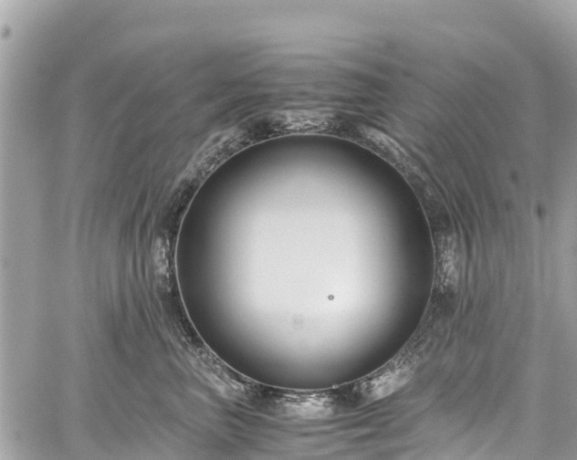 X0000059830667200510241422