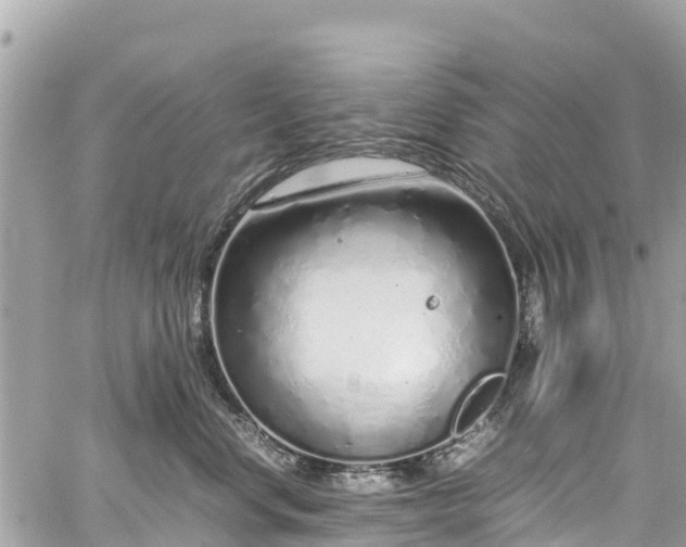 X0000059830668200510241422