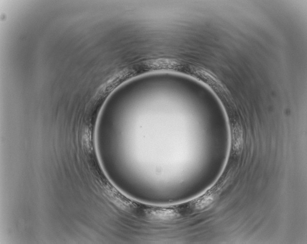 X0000059830669200510241422