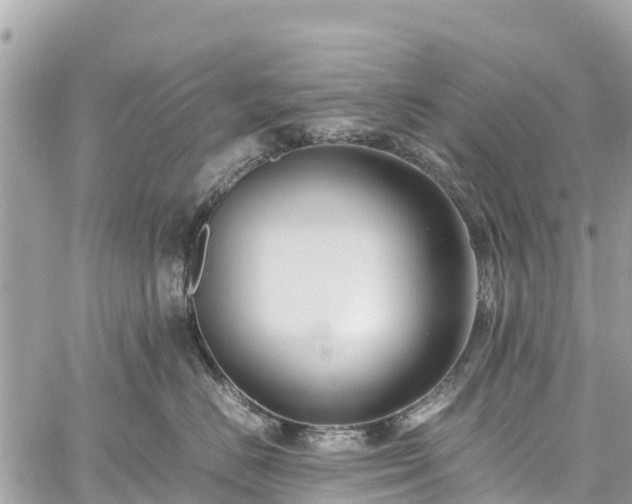 X0000059830670200510241422